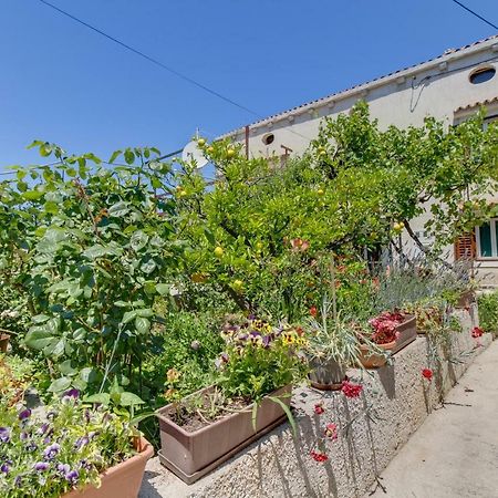 Apartment Carmen Veli Lošinj Εξωτερικό φωτογραφία