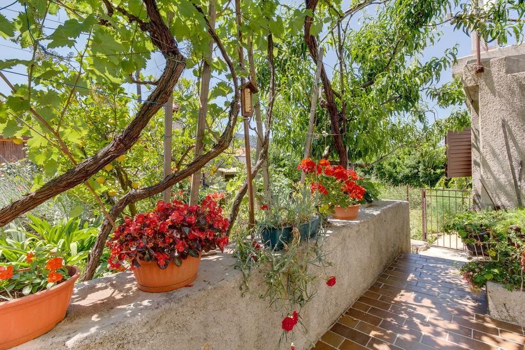 Apartment Carmen Veli Lošinj Εξωτερικό φωτογραφία